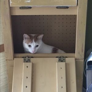 Meet your Posher, Staci